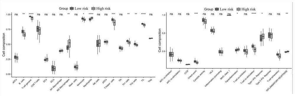 8 gene model for predicting prognosis of IPF patient and application