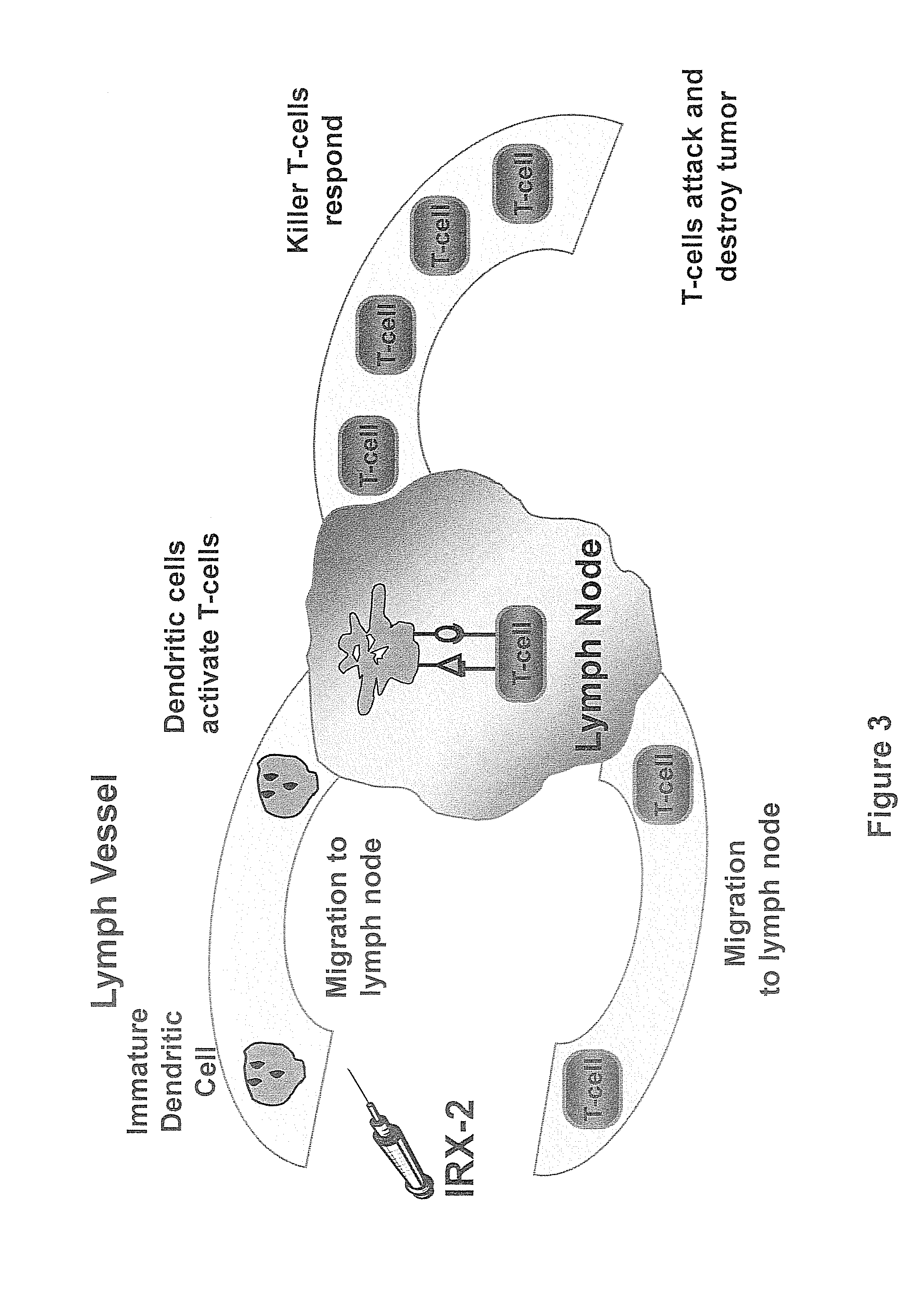 Method of increasing immunological effect