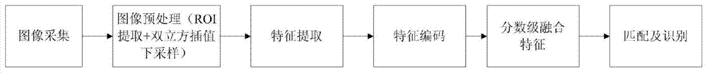 Low-resolution multi-spectral palm print and palm vein real-time identity recognition method and system