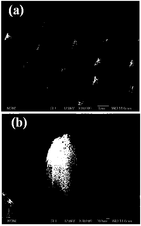 A method of preparation of the array -based activated film that enhances the light catalytic effect