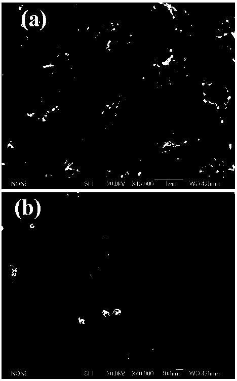 A method of preparation of the array -based activated film that enhances the light catalytic effect