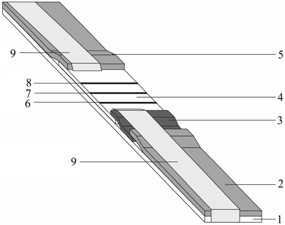 Ovulation detection test strip and detection method