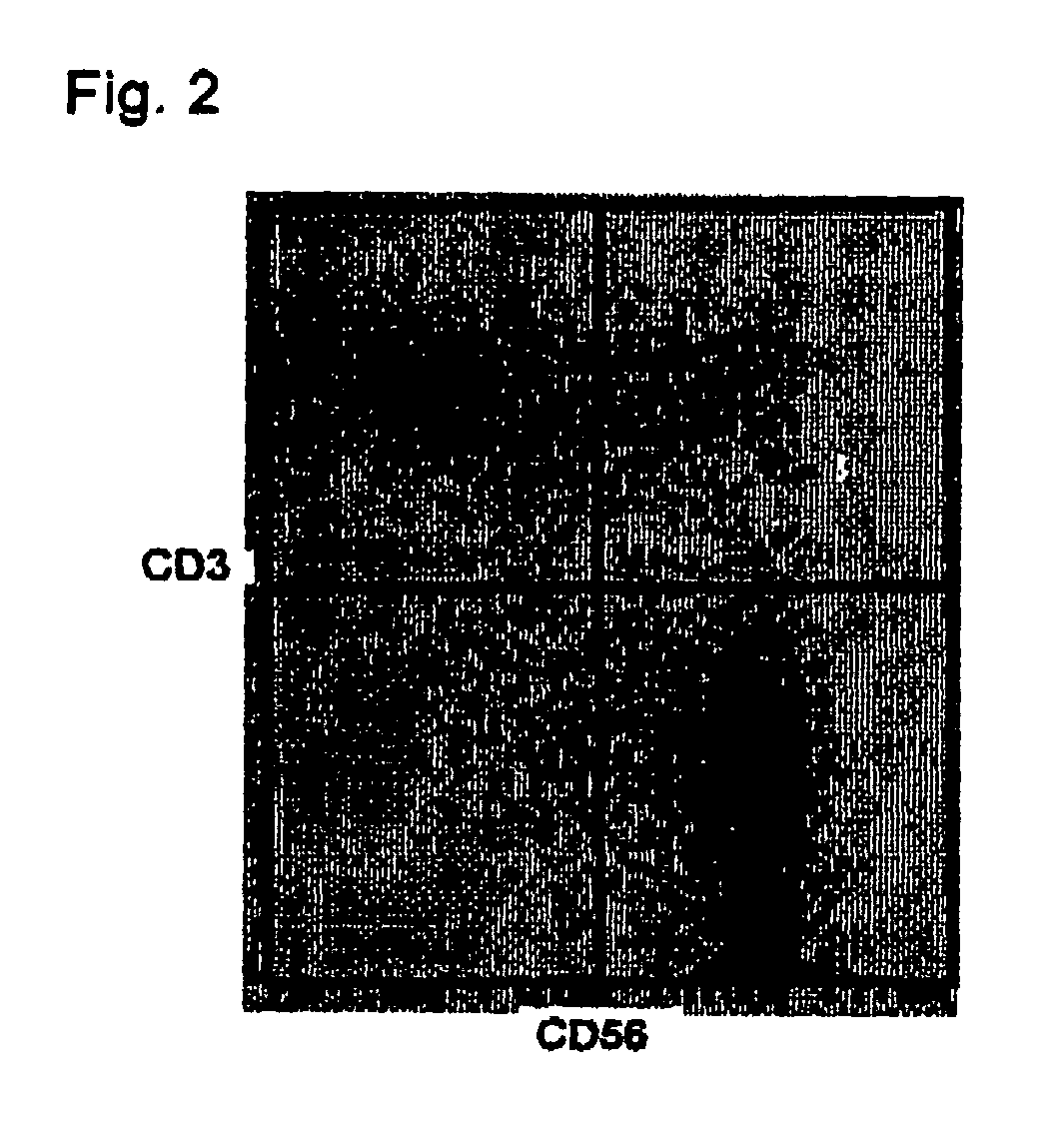 Method for in vitro culture of lymphocytes and composition for use in immune therapy