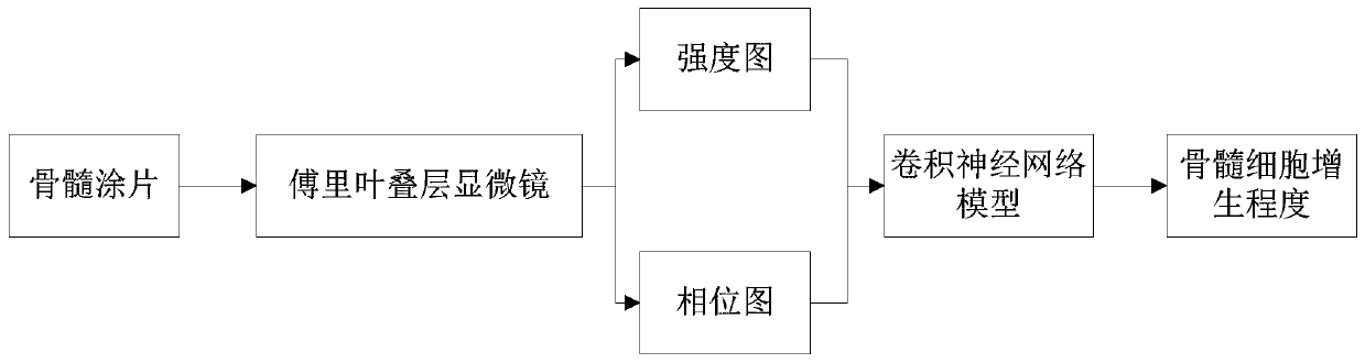 Bone marrow cell proliferation degree automatic grading method and system