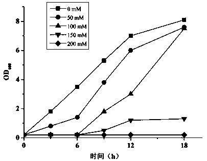 Strain of pseudomonas aeruginosa producing 5-hydroxymethyl-2 furancarboxylic acid and application of strain of pseudomonas aeruginosa