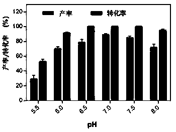 Strain of pseudomonas aeruginosa producing 5-hydroxymethyl-2 furancarboxylic acid and application of strain of pseudomonas aeruginosa