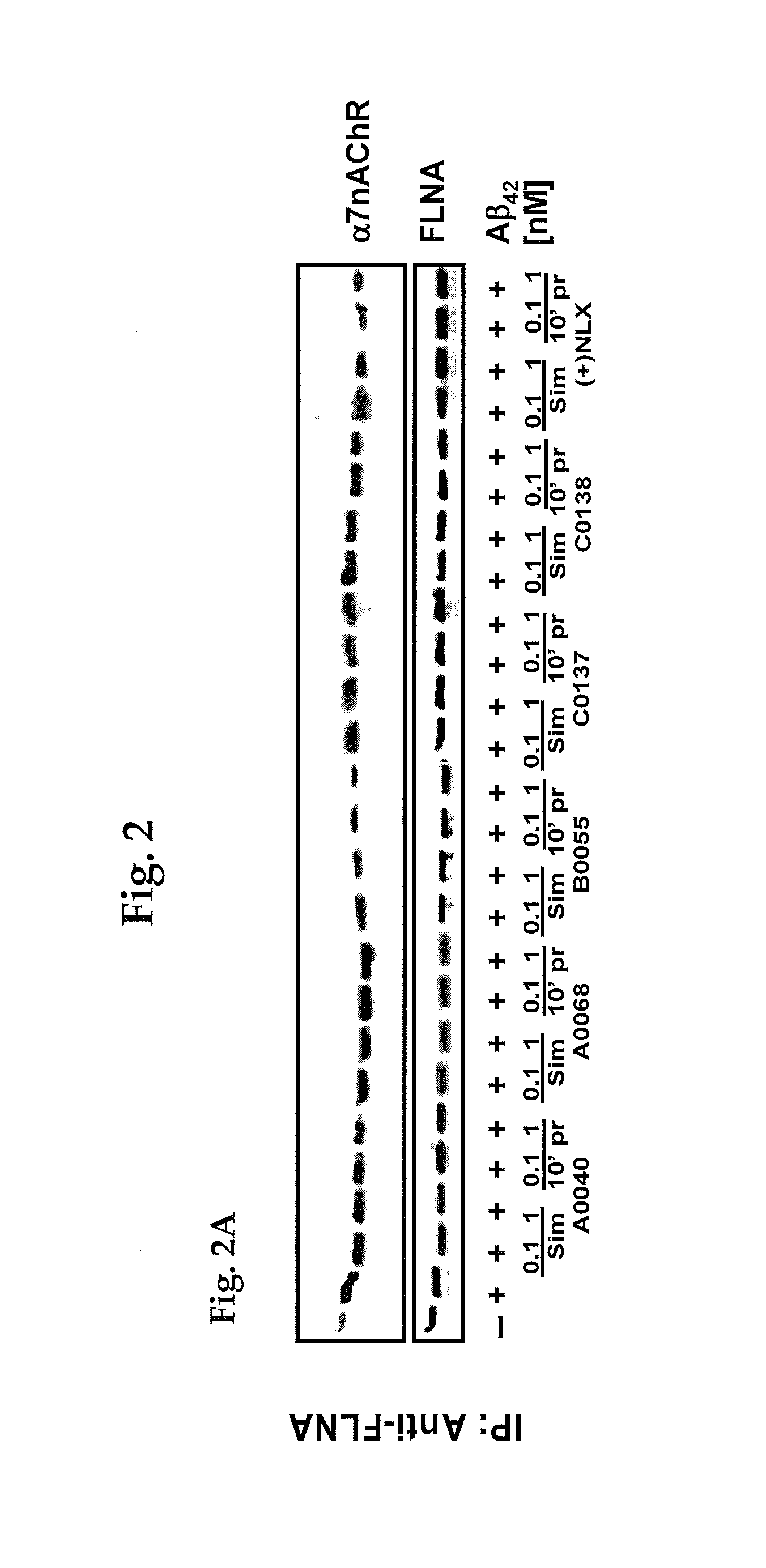 Benzazocine-ring compound inhibition of tau hyperphosphorylation