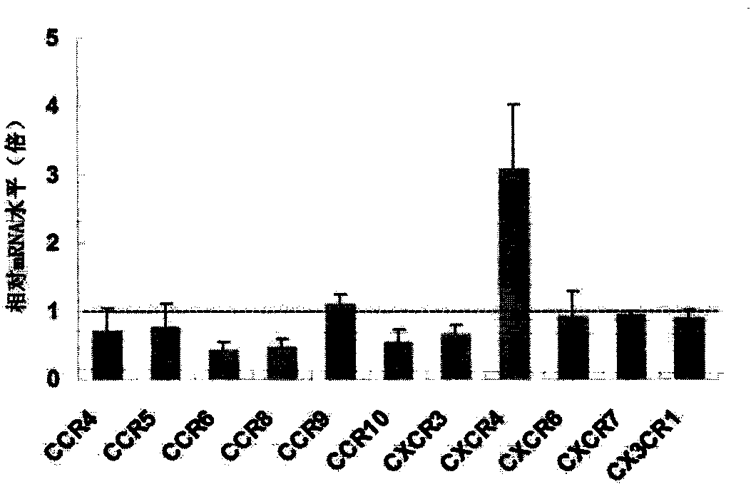 Method and medicament for inhibiting generation of neonatal lymphatic vessel