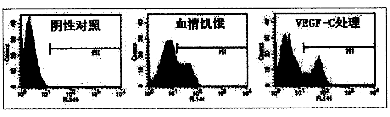 Method and medicament for inhibiting generation of neonatal lymphatic vessel