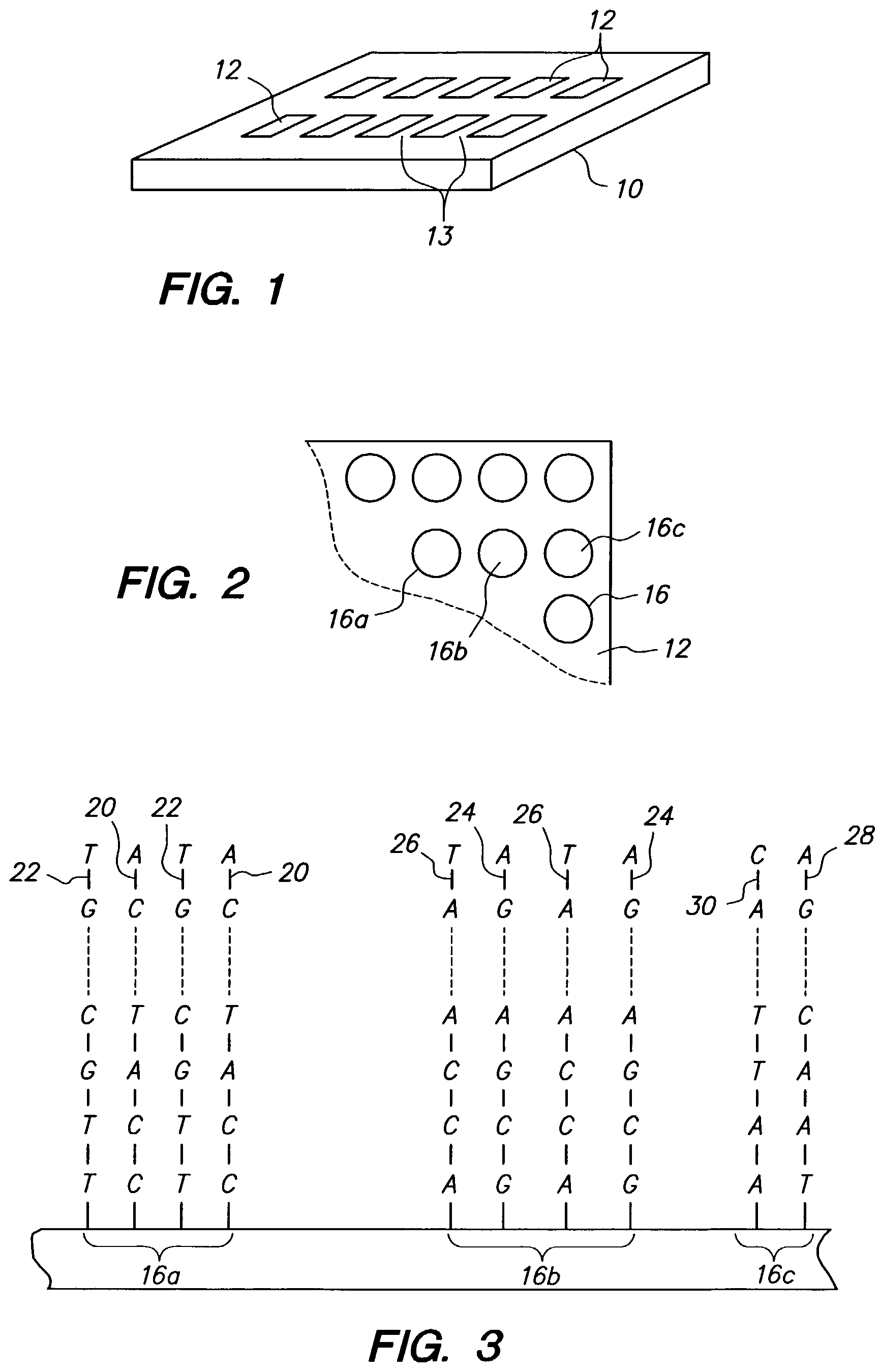 Multidentate arrays