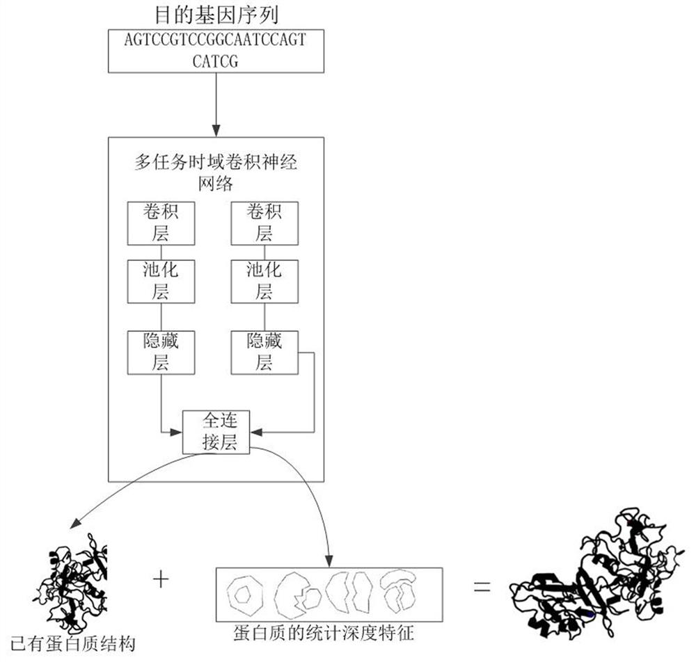 Protein structure prediction method and device based on multi-task time domain convolutional neural network