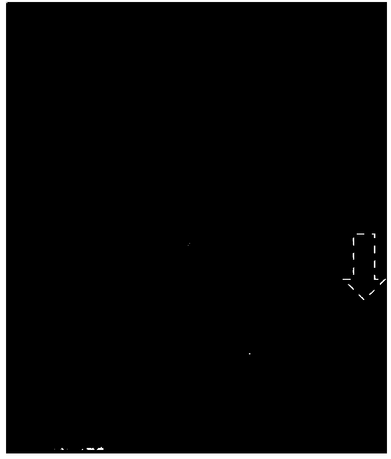 Method and device for automatically determining scanning range of petrous bone