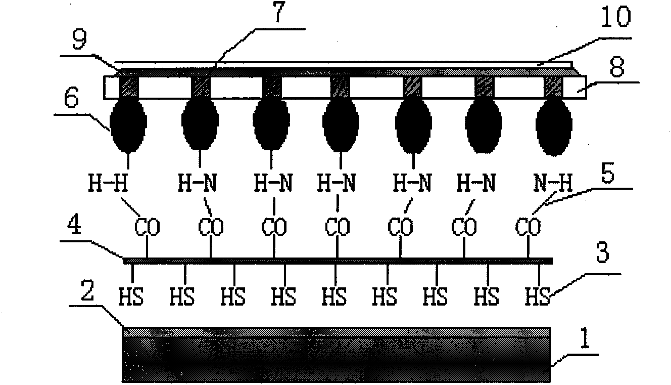 Manufacturing method for protein structure quick switch memristor array