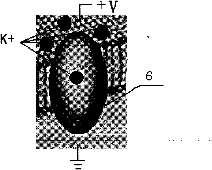 Manufacturing method for protein structure quick switch memristor array