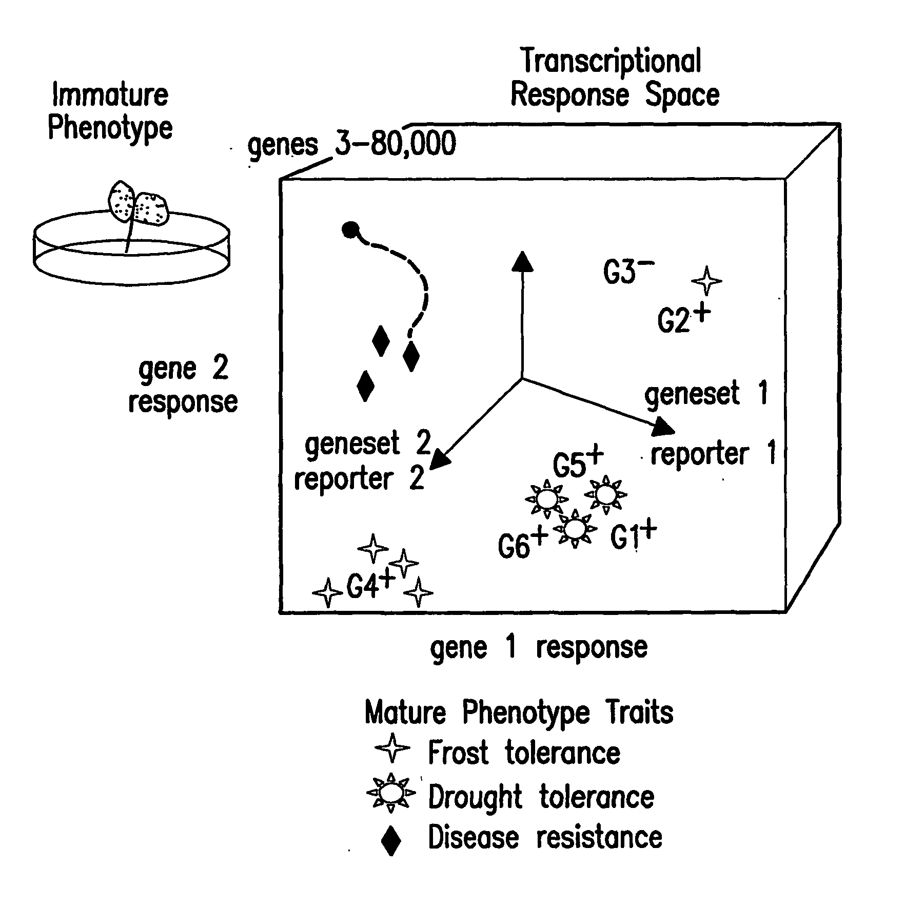 Methods for genetic interpretation and prediction of phenotype