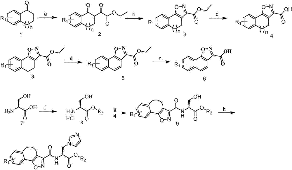 Tricyclic isoxazole derivative, preparation method thereof and application