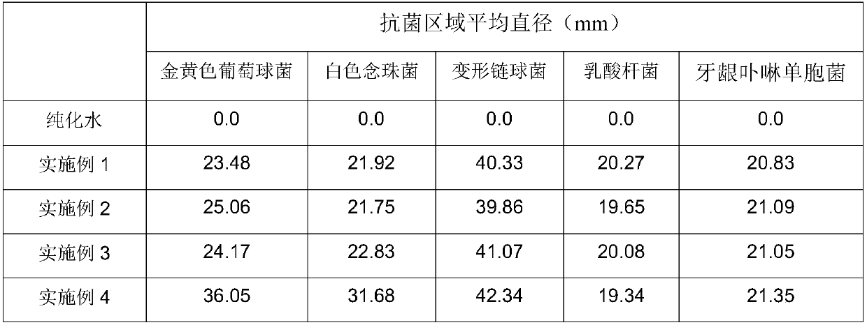 Composite traditional Chinese medicine mouth wash and preparation method thereof