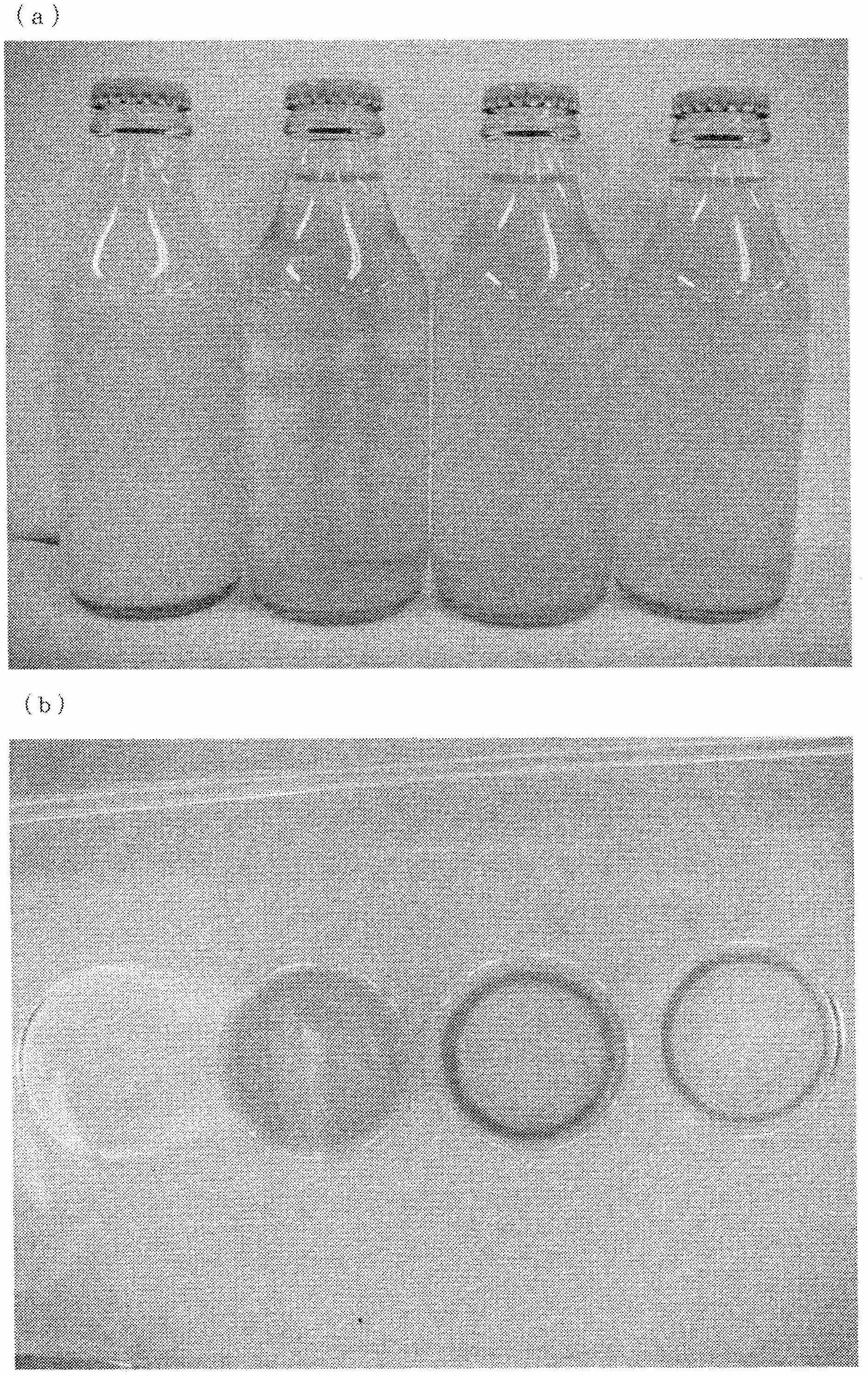 Turmeric pigment composition and method for preparing same