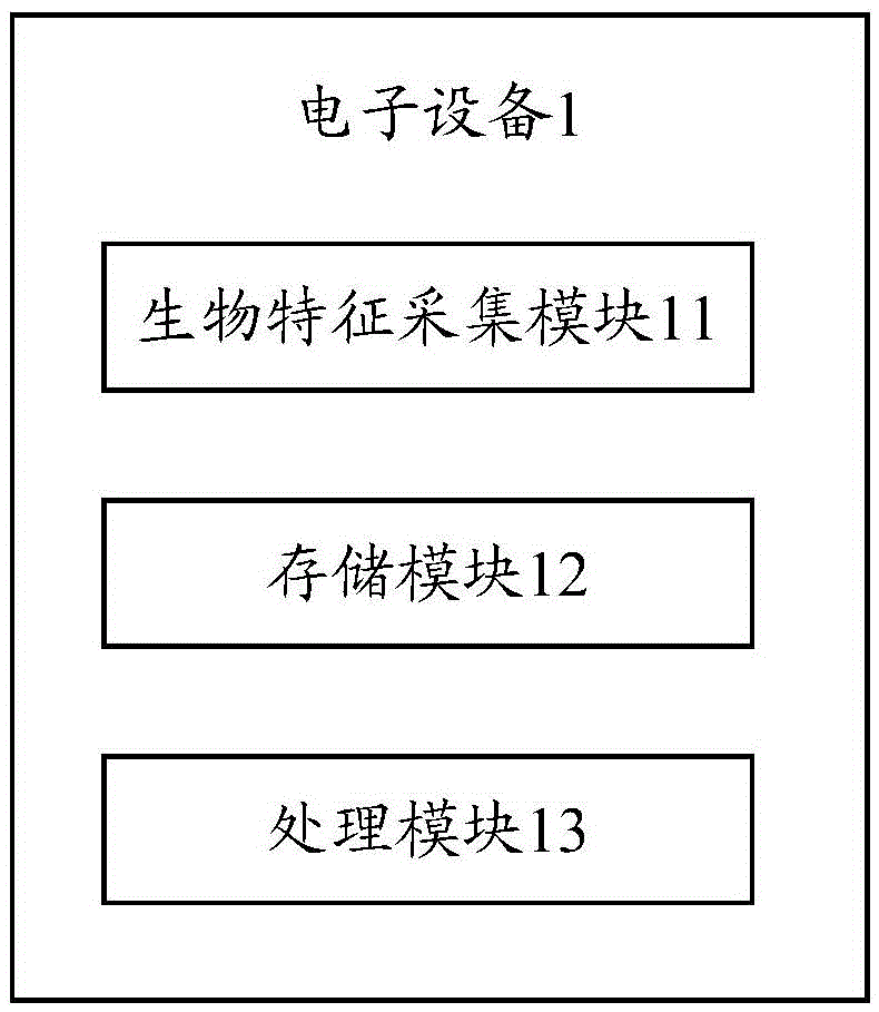 Bio-feature verification method and electronic device