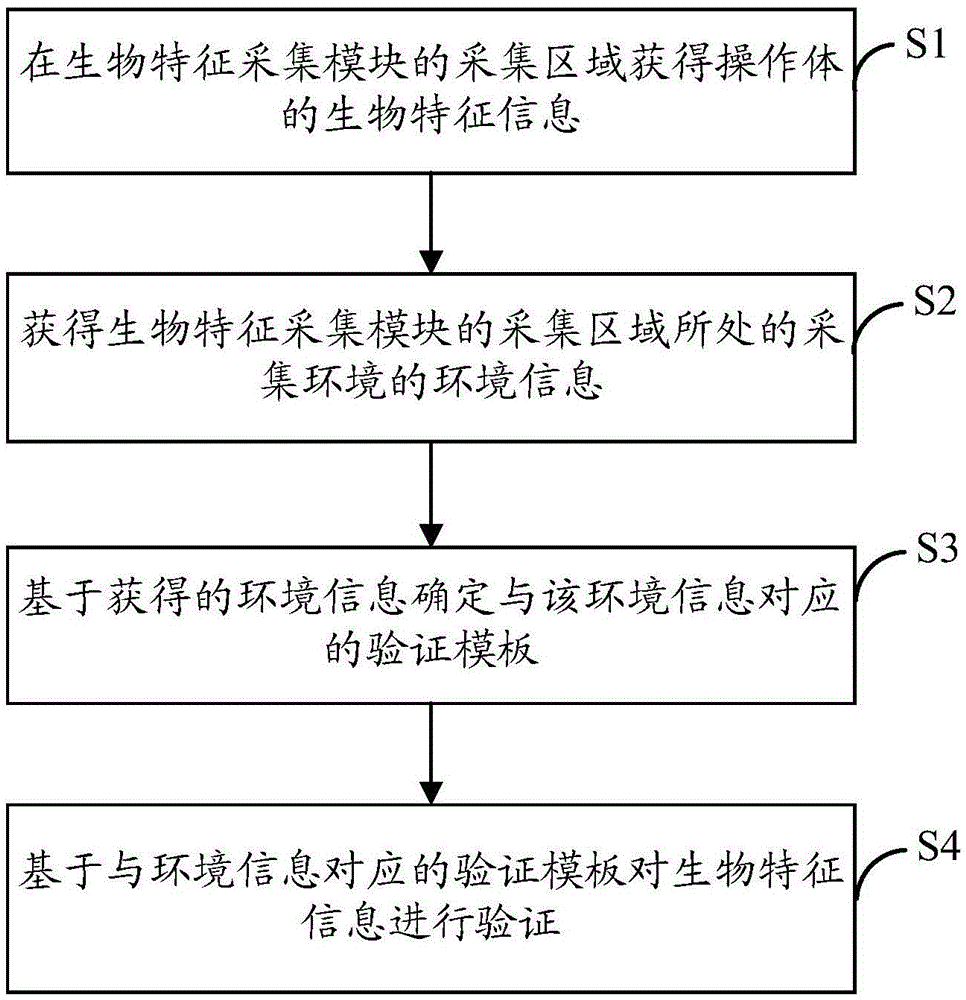 Bio-feature verification method and electronic device