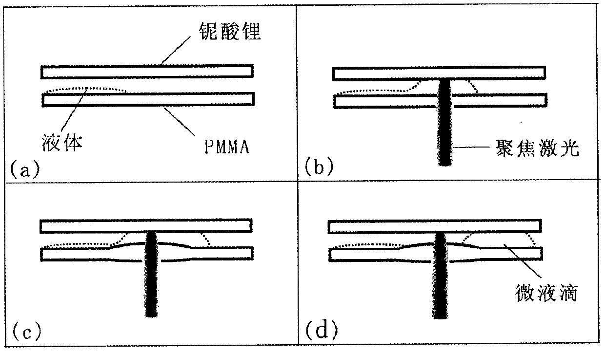 Continuous photoinduction micro-droplet generation and transfer method based on polymethyl methacrylate and C-cut lithium niobate crystal interlayer chip