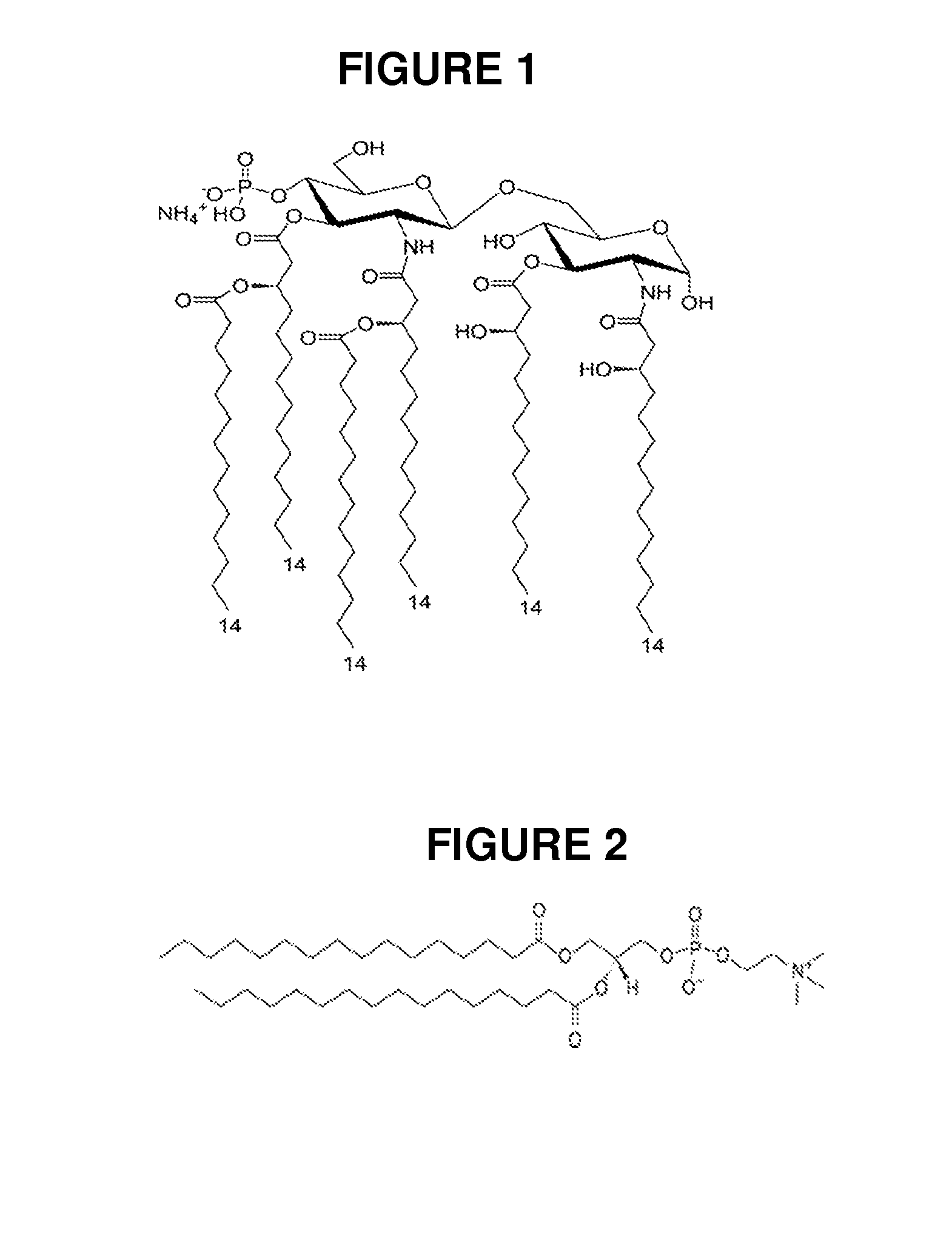 Compositions of vaccines and adjuvants and methods for the treatment of urinary tract infections