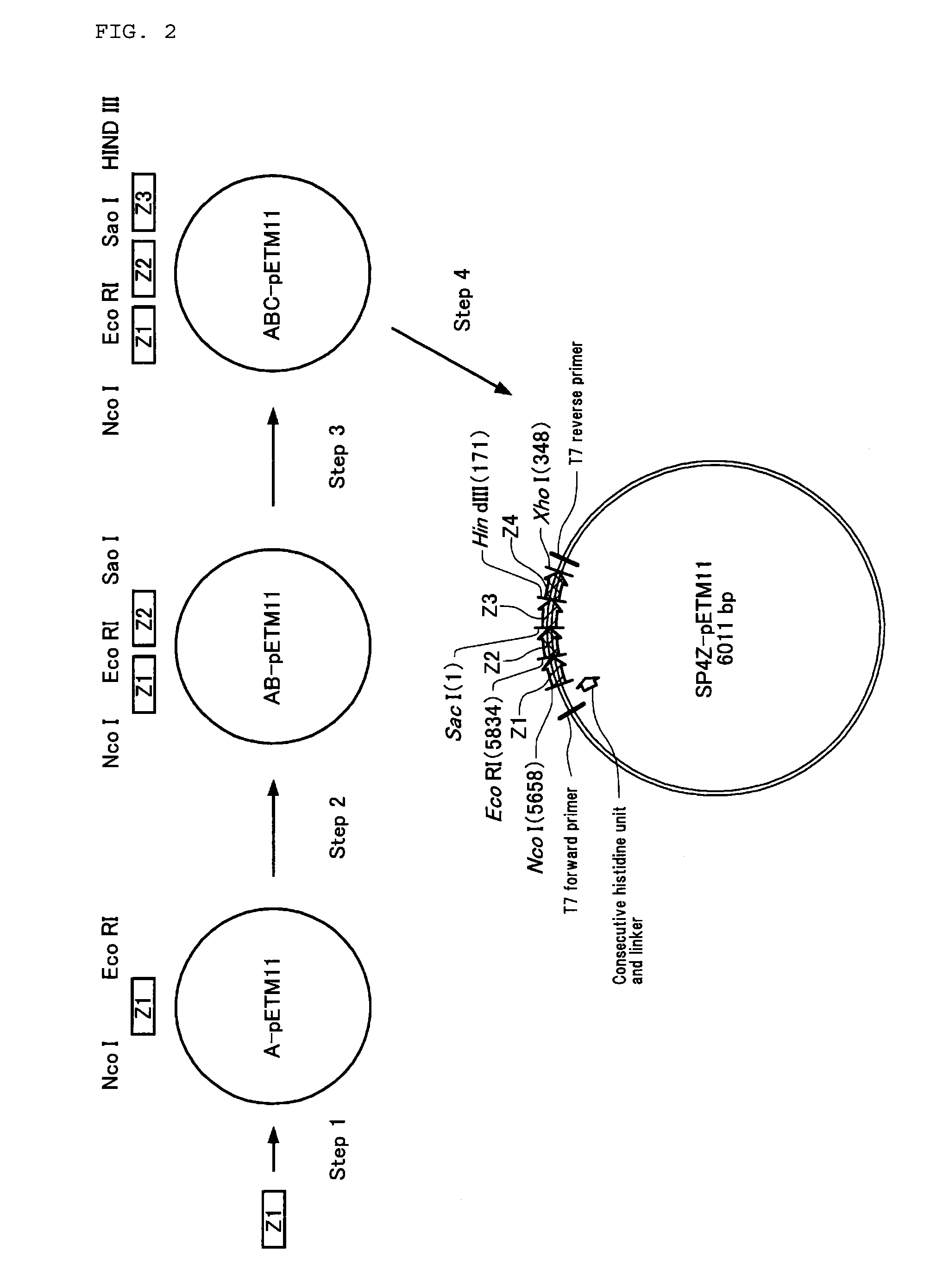 Filler for affinity chromatography