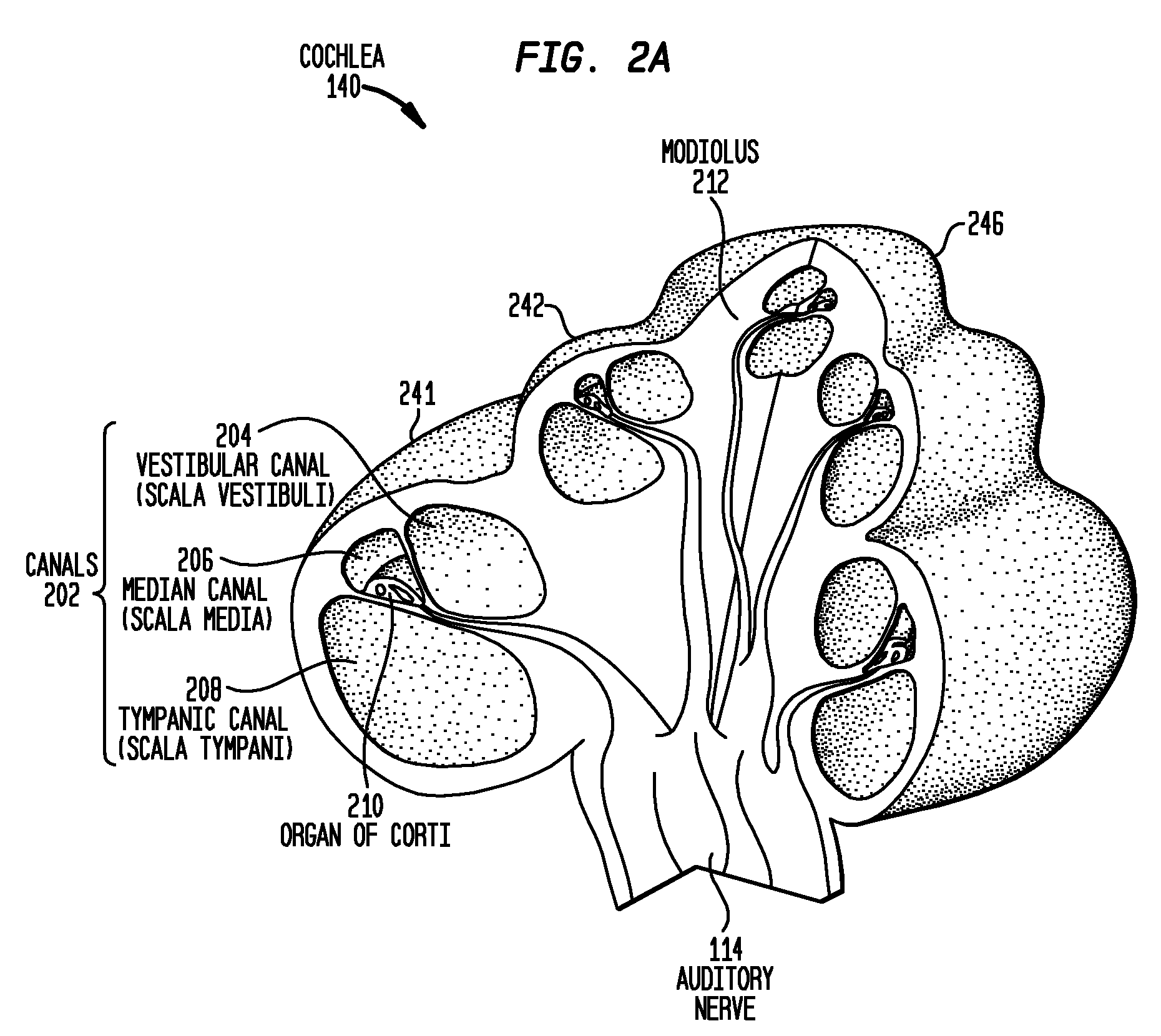 Optical neural stimulating device having a short stimulating assembly