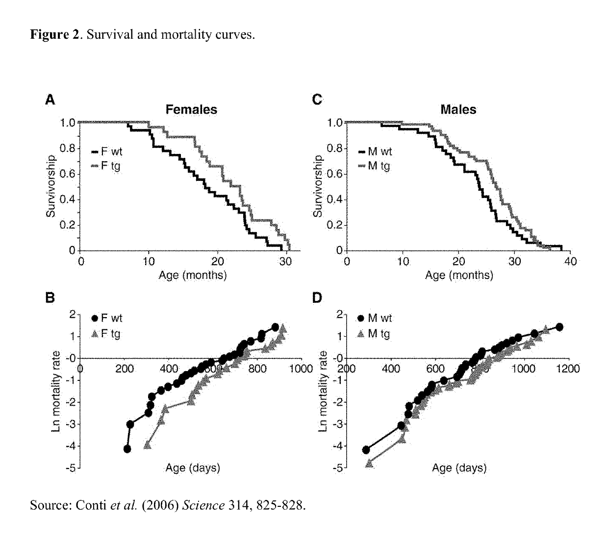 Compositions and methods for combination pharmacological treatments to induce a prolonged, mild decrease in core body temperature