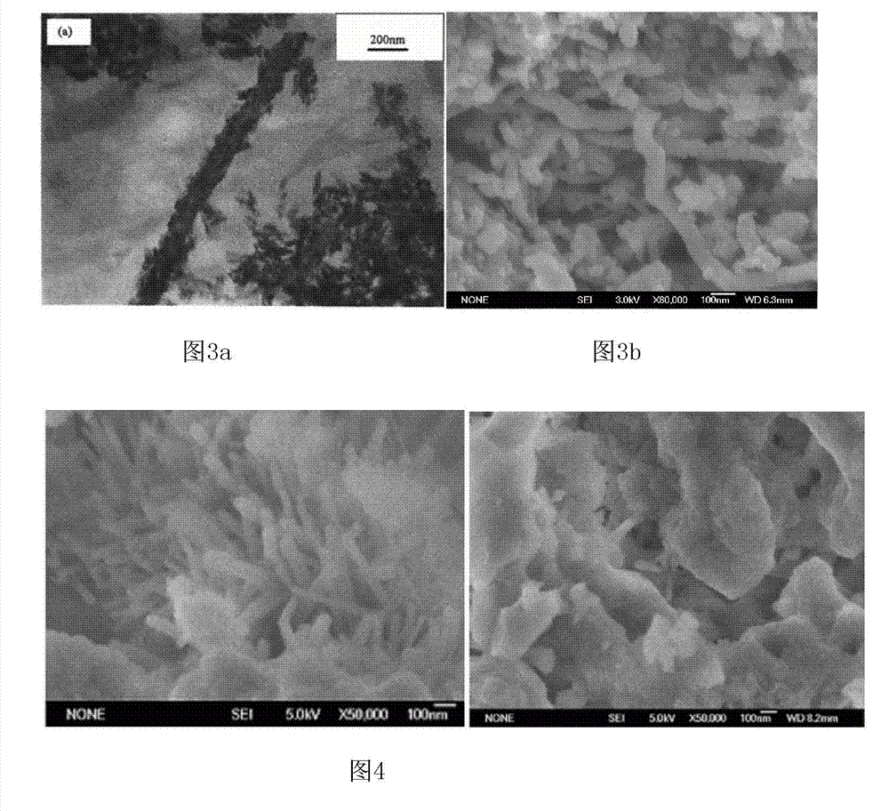 Multiple mesh nanometer carbon-hydroxyapatite composite material and preparation method thereof