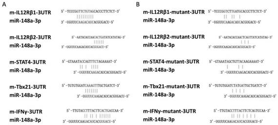 Micromolecule preparation for inhibiting TH1 cell polarization, and application of micromolecule preparation