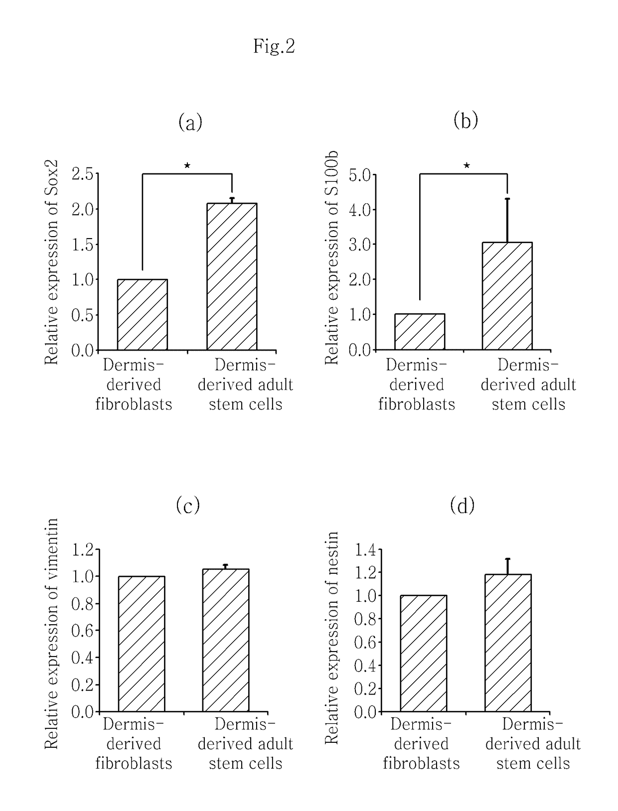 Adult stem cells derived from human skin dermis