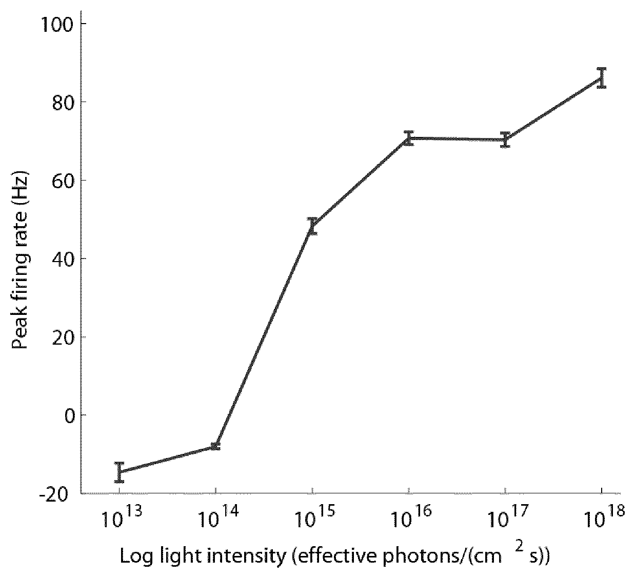 Therapeutical tools and methods for treating blindness by targeting photoreceptors