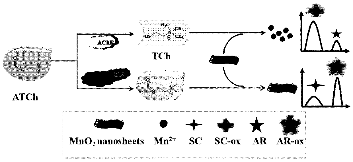 Analytical method for detecting organophosphorus pesticide by ratio-dependent fluorescence sensor based on manganese dioxide nanosheet response