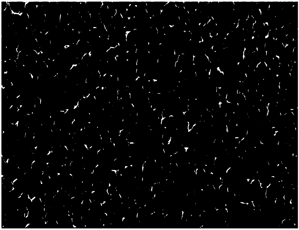 Preparation method of a chain-type wet-process black silicon battery chip with high conversion efficiency