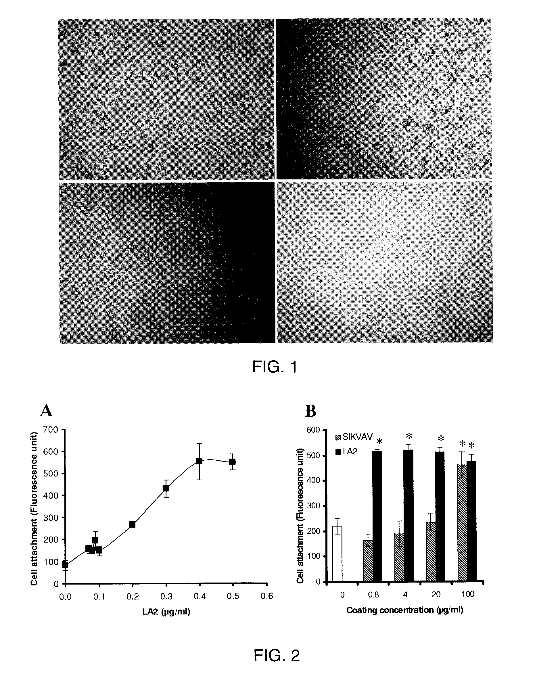 Laminin-derived multi-domain peptides