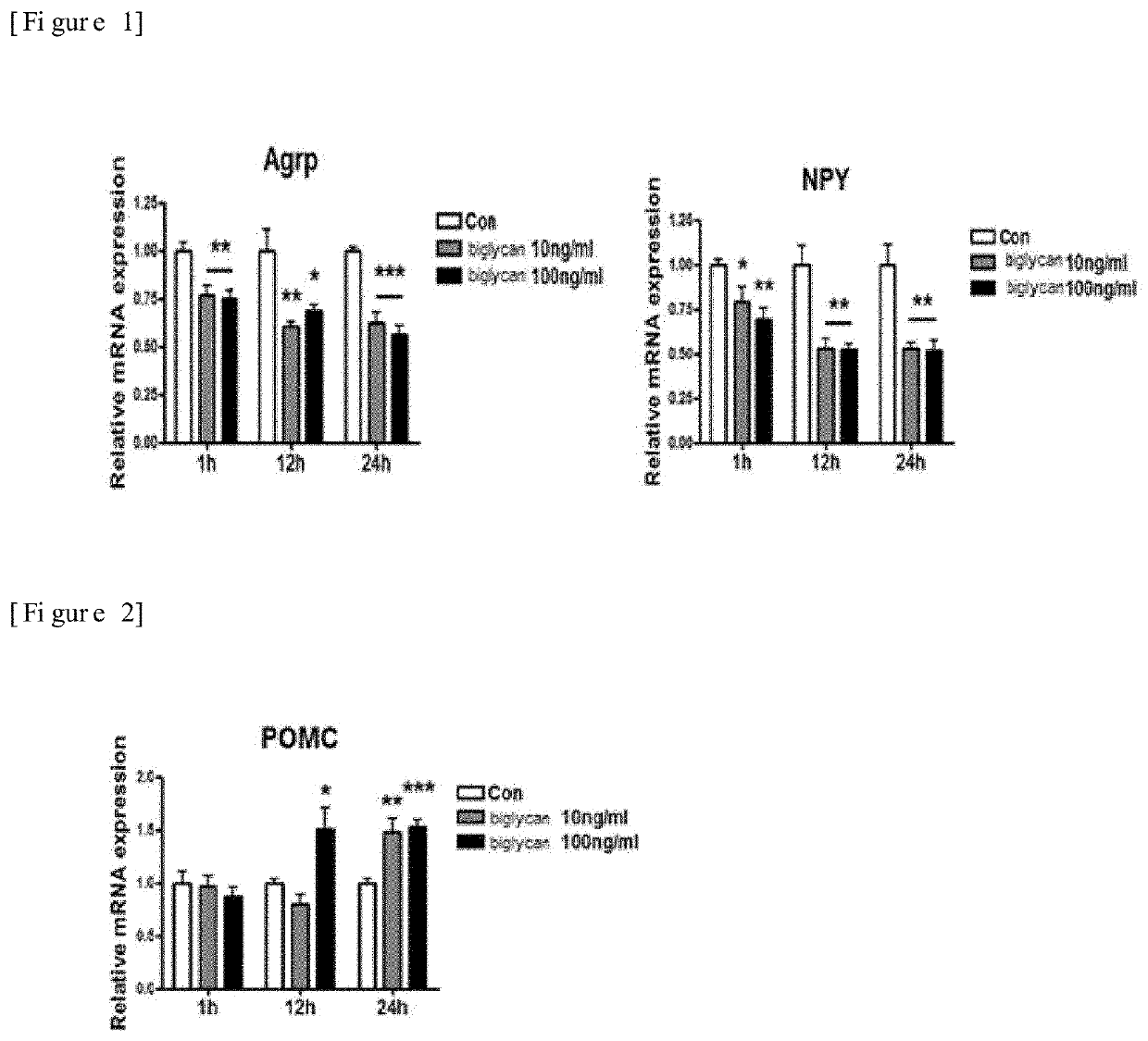 Pharmaceutical composition for preventing or treating obesity containing biglycan as active ingredient