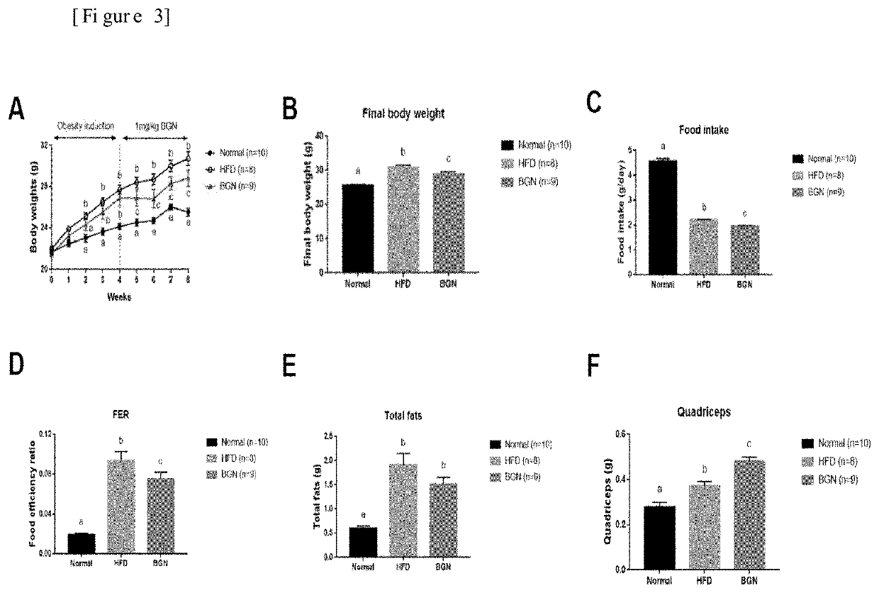 Pharmaceutical composition for preventing or treating obesity containing biglycan as active ingredient