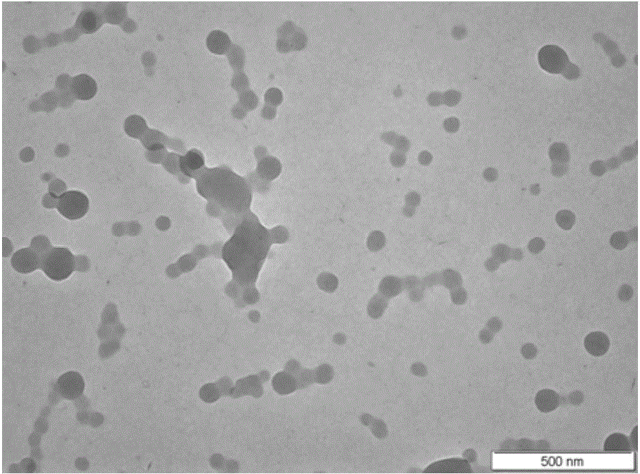 EGCG chitosan/beta-lactoglobulin composite nanoparticles and preparation method thereof