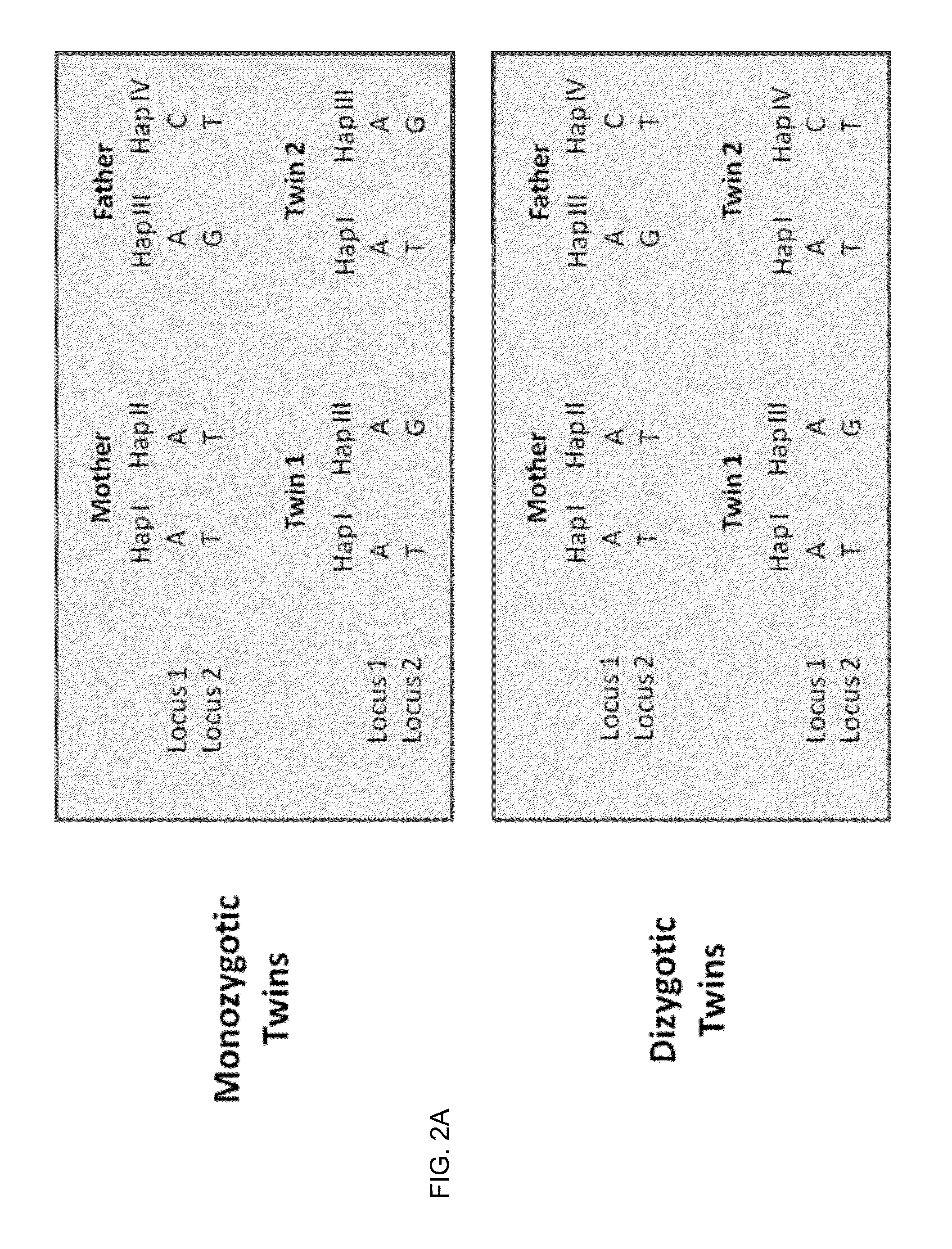 Molecular testing of multiple pregnancies