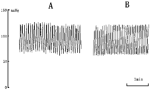 Device of extracorporally imitating blood pressure fluctuation rising and application method and use