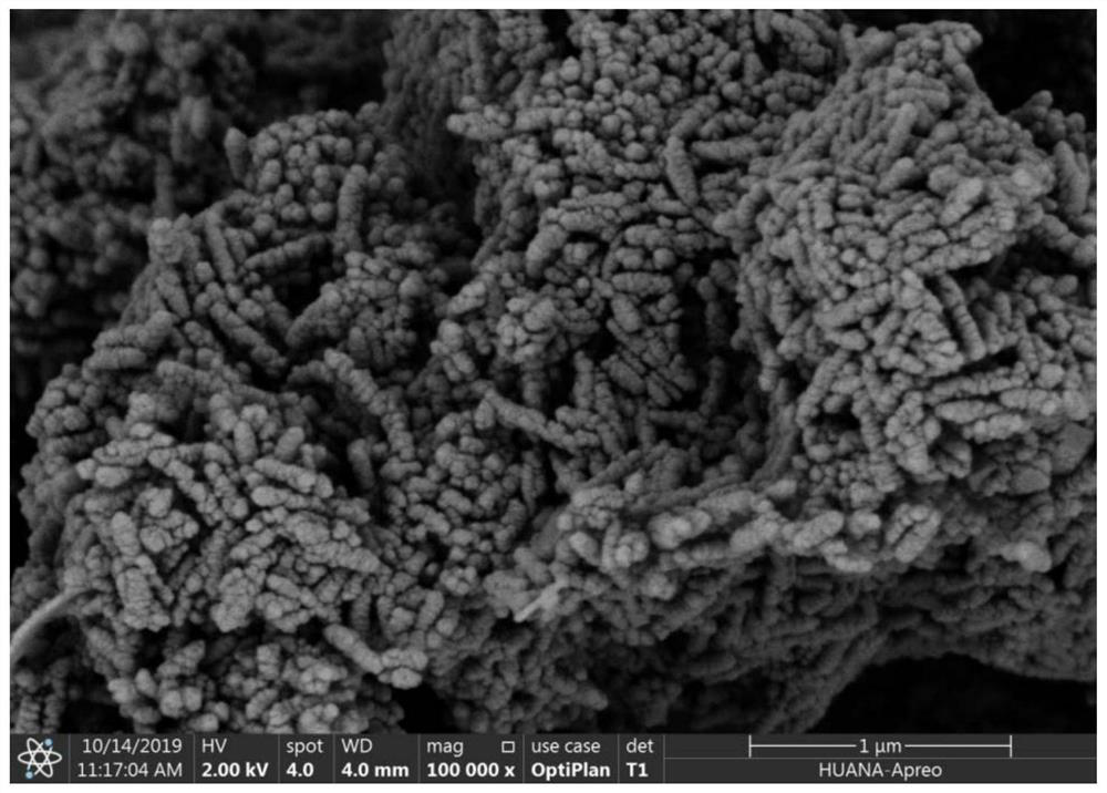 A kind of preparation method of worm-like precipitated calcium carbonate