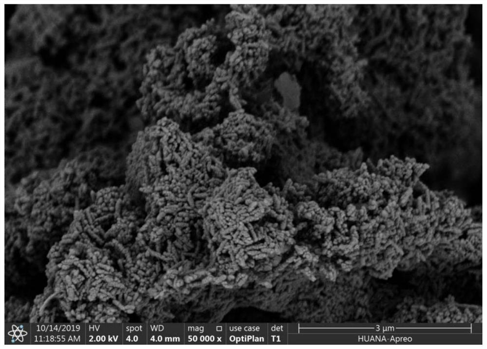 A kind of preparation method of worm-like precipitated calcium carbonate