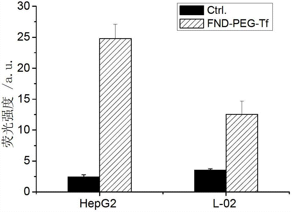 Targeting nano diamond carrier and targeted drug, and preparation method and application thereof