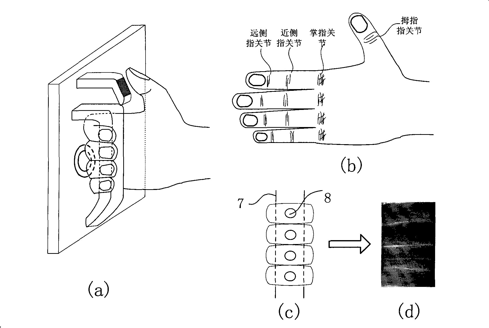 Identification authentication apparatus based on finger biologic characteristics