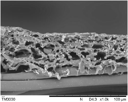 Preparation method of waterborne micro porous waterproof and moisture permeable film