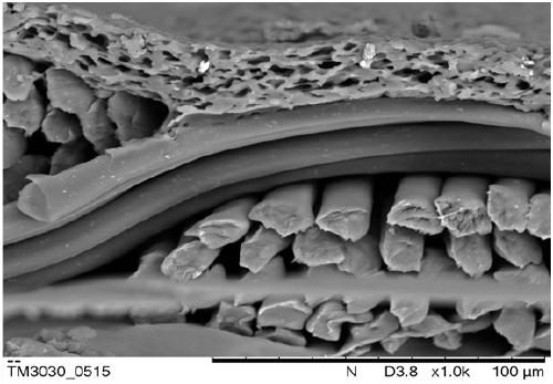 Preparation method of waterborne micro porous waterproof and moisture permeable film