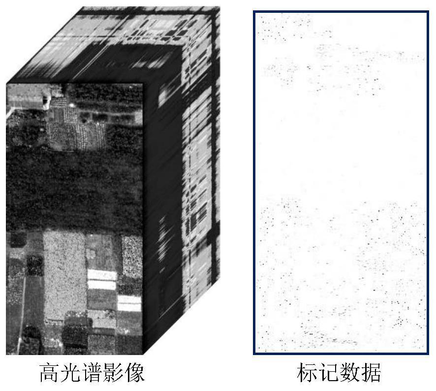 A Hyperspectral Image Classification Method Extracted from Local to Global Context Information