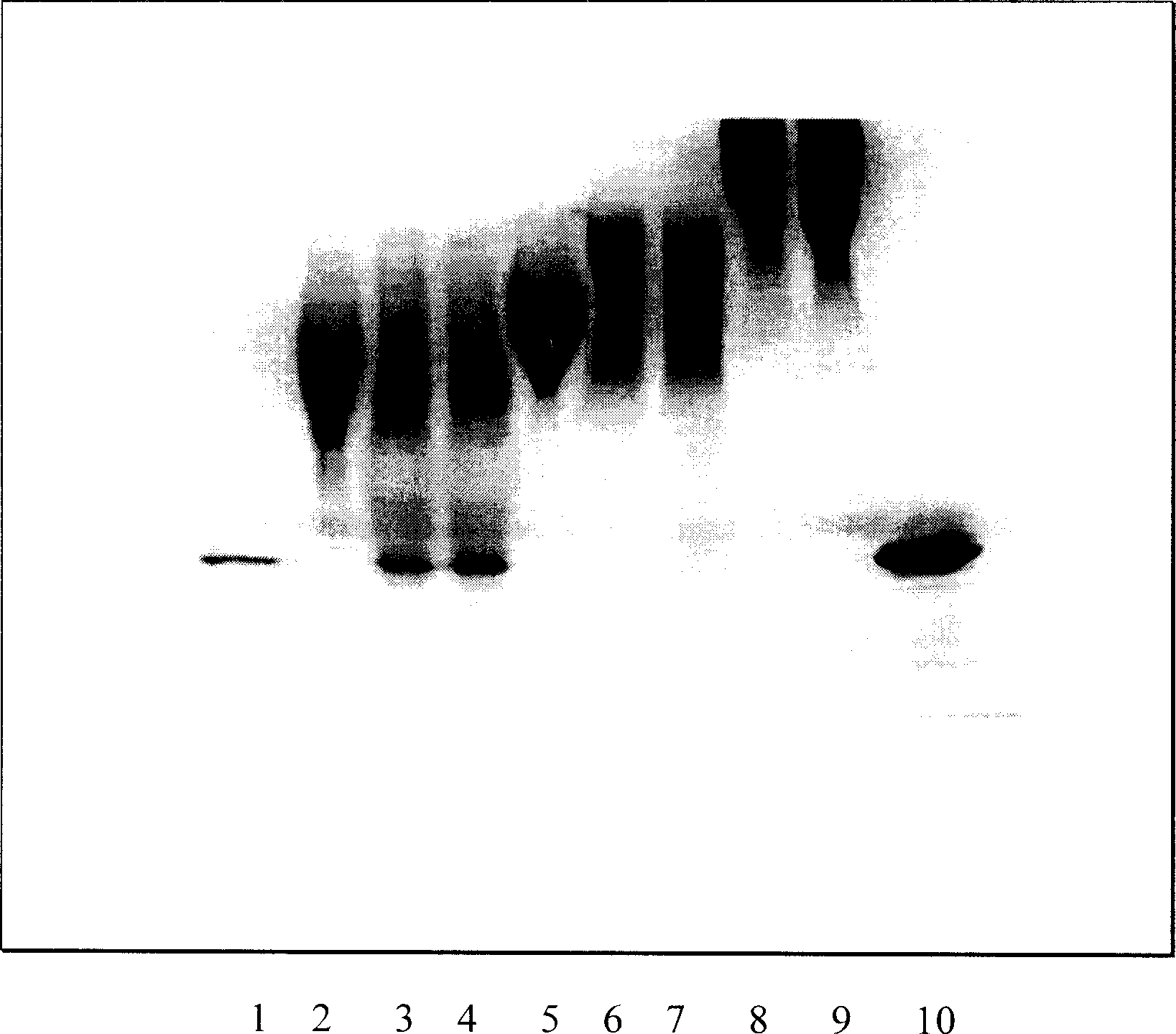 Method for preparing elspar modilfied by carbowax