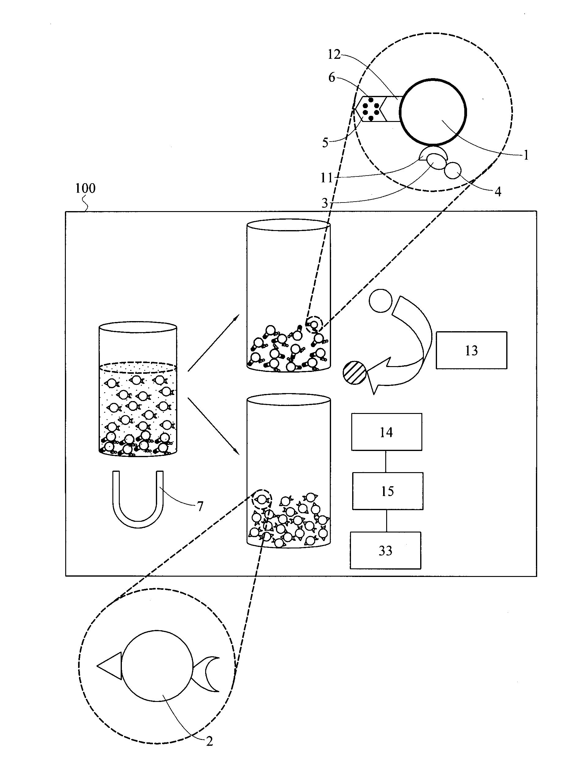 Cell detecting system and quantum dot measuring system